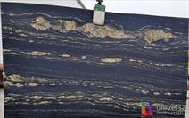 Tropical Storm - Elite