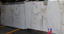 Calacatta Gold - Platinum