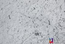 Bianco Carrara - Deluxe