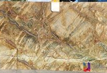 Rain Forest Green - Deluxe