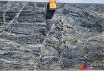 Blue Eagle - Platinum