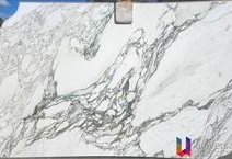 Arabescato Vagli Marble - Platinum