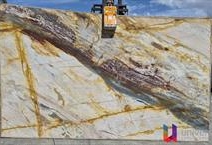 Colibri Blue - Platinum