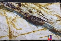 Colibri Blue - Platinum