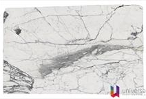 Arabescato Corchia - Elite