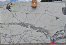 Arabescato Corchia - Elite