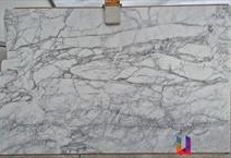 Arabescato Vagli Marble - Platinum