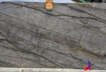 Silver Roots - Platinum