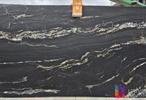 Belvedere Gold Classic - Elite