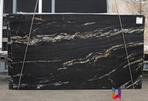 Belvedere Gold Classic - Elite