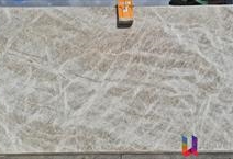 Taj Mahal - Platinum