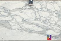 Calacata Borghini - Platinum
