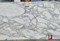 Calacata Borghini - Platinum