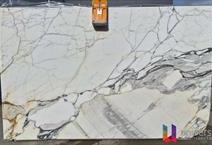 Calacata Picasso - Platinum